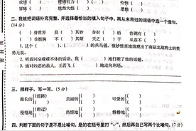 全国名牌小学四年级上学期期中全真模拟训练密卷4套含答案图片