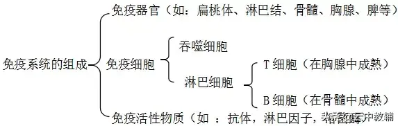 高中生物必修三知识点总结