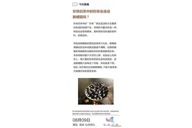 流言：珍珠奶茶中的珍珠会造成肠梗阻图片