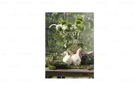 婚纱照的真正含义是什么呢？可以说很多，也可以说很少图片