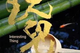 碗中的风雅｜日本锦鳉图片