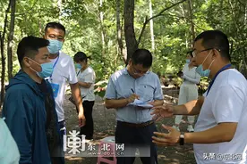 南山鸡场的致富经：眼镜公鸡，红公鸡中的“战斗机”图片