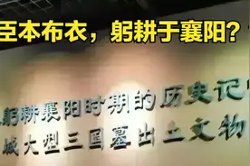 不支持“襄阳说”“古隆中”的都是南阳人？河南人吗？图片