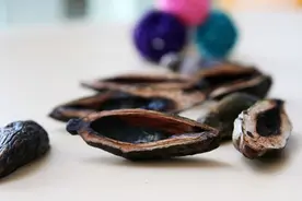 千亿产业一夜之间跌入谷底，槟榔为何到了“人人喊打”的地步？图片