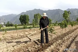 农村91岁老人骑电动车下地干活，称不能让地闲着，能干动一直干图片