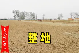 种小麦犁耕好还是旋耕好？二者优缺点对比，别整错了图片