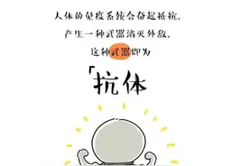 「健康科普」IgM和IgG结果如何解读？图片