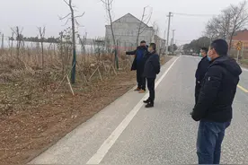 庐江县柯坦镇：疫情防控“毫不放松”  村级经济发展“多点发力”图片