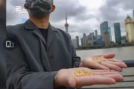 艺术家为讽刺粮食浪费，用500克黄金制千粒纯金大米扔黄浦江？网友炸锅图片