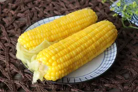 买玉米时，遇到这3种情况，尽量不要买，种植户自己也不吃图片