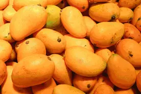 揭秘：广西、海南、云南和福建，中国到底哪里的芒果最好吃呢？图片