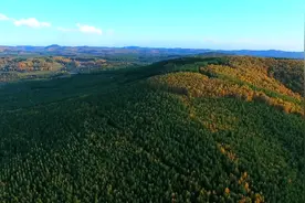“原山杯”全国短视频大赛获奖作品赏析|优秀奖：地球卫士塞罕坝 林场的出奇之美图片