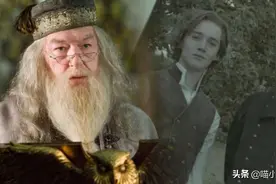《哈利波特》：邓布利多和格林德沃的关系，是怎么一步步公开的？图片