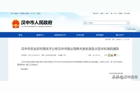 注意！在汉中，这些狗不能养！禁养犬种图样→图片