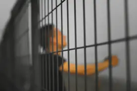 ​河北富豪孙大午因何被抓？知情人士称“出事”前已有信号图片