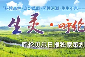生灵·呼伦贝尔｜美丽的呼伦贝尔大草原让人魂牵梦绕图片