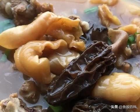 花胶竹笙煲白鸽的做法大全 竹笙炖花胶功效