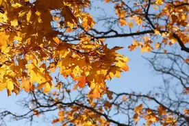 看淡人生，人淡然了，心就不累了图片