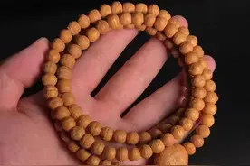 小小凤眼，为何价值几十万？图片