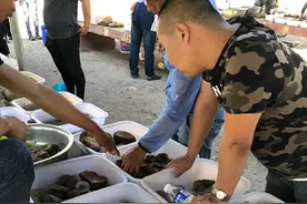 去了趟河北的红玛瑙市场寻宝，你知道河北都有哪些好玉石吗图片