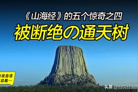 被断绝的通天神树，《山海经》的建木是太空电梯吗图片