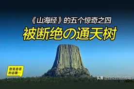 被断绝的通天神树，《山海经》的建木是太空电梯吗图片
