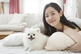 狗有狗的幸福——浅谈客家人和畲族人跟“狗”的关系图片