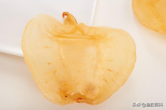 每天吃花胶的变化 2026年每天吃花胶的变化是什么