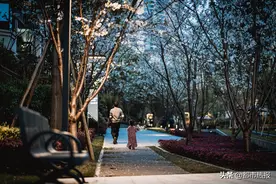 父亲节丨有个“搬砖”老爸，是怎样的体验？图片