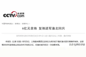 「新盘测评」渝北墅区洋房，建面12000元/㎡收官之作图片
