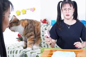 猫屁股太臭拒绝清洁，铲屎官拿出一个法宝，猫咪纷纷上套百试百灵视频封面