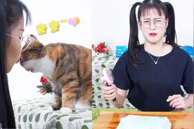 猫屁股太臭拒绝清洁，铲屎官拿出一个法宝，猫咪纷纷上套百试百灵