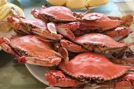 天津人自驾必去，顿顿吃硬核海货，性价比贼高小众东戴河渔家院图片