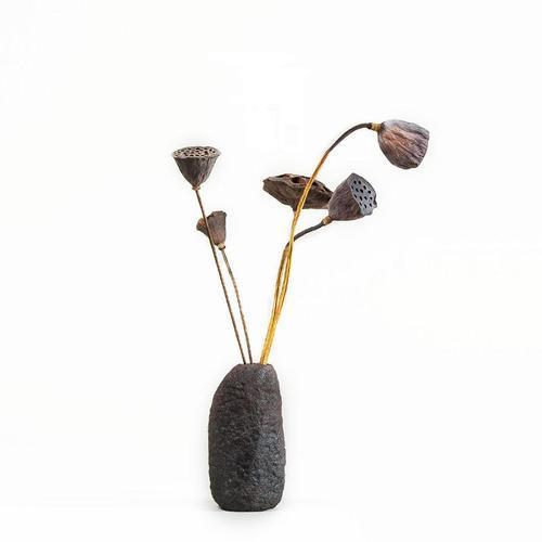 什么胶对女人最好 什么胶女人吃了补气血