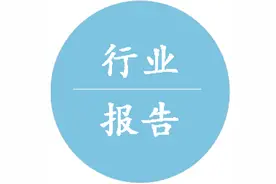 2021年中国金属硅行业分析报告-市场规模现状与未来趋势预测图片