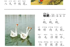 幼小衔接孩子每天朗读一首，一年级更快适应，背诵古诗和弟子规！图片