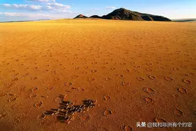 纳米比亚“仙女圈”：大自然的“圈套”？图片