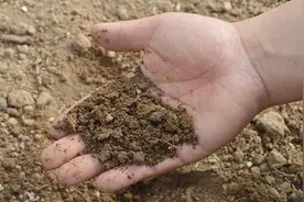 月底吃土吗？来看看“吃土”的科学图片