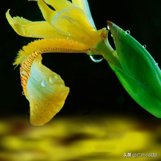 相思无益，十诫说与君知