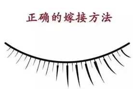 你的嫁接正确吗？美睫小知识持续分享中图片