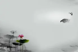 中考专题：识记并正确书写现代常用规范汉字图片