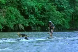 《那山那人那狗》邮递员的不易和中式家庭关系，爱你在心，口难开图片