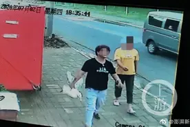 王珞丹寻宠物鸭，警方最新回应图片