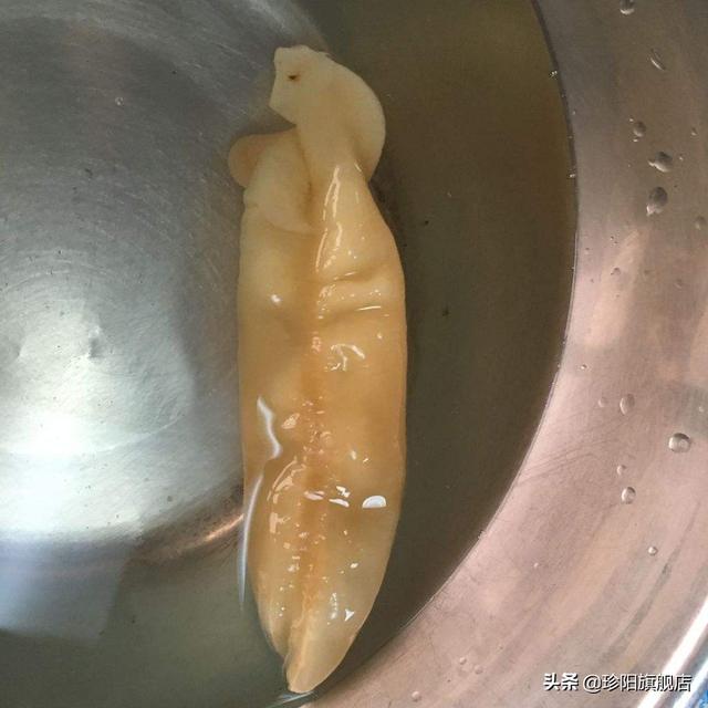 新鲜米鱼胶怎么保存 新鲜米鱼胶怎么保存时间长