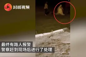 威尔士斯旺西一新娘婚礼上醉酒闹事 穿着婚纱在草地与宾客厮打图片