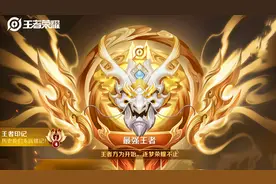 王者荣耀真的有佛系玩家？几千场一个王者印记，是菜还是与世无争图片