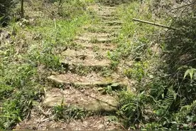 四川邻水与重庆长寿区之间的古道，两地交通命脉现已荒废真可惜图片