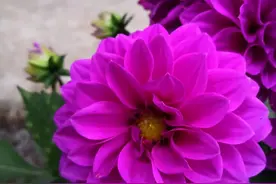 奶奶去厕所的工夫，19个月大的孙子，从三楼摔下去，当场丧命图片