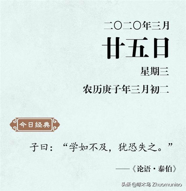 用纵使也造句（清风典历学如不及）