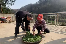 桐城：“乡村网红”胡大姑 抖音为媒巧“带货”图片